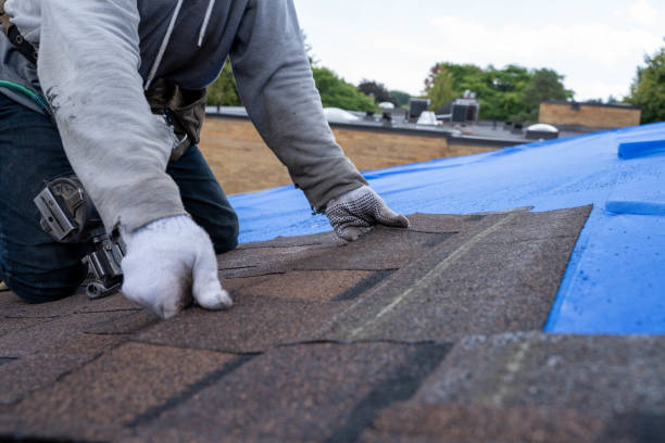 Best Residential Roofing Contractor  in Tinley Park, IL
