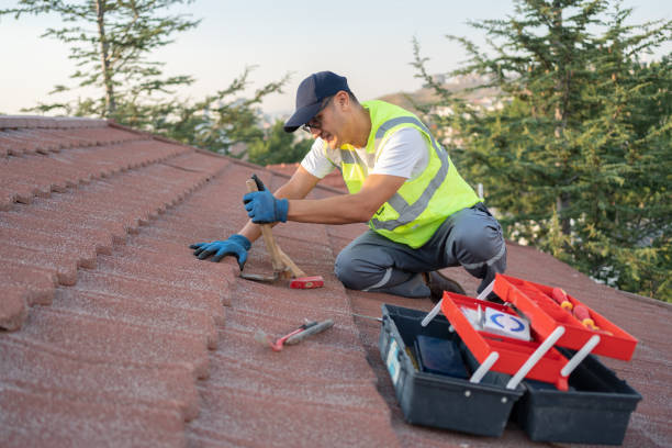Best Flat Roof Repair Services  in Tinley Park, IL