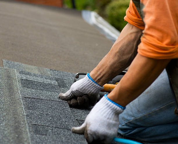 Best Storm Damage Roof Repair  in Tinley Park, IL