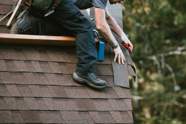 Best Storm Damage Roof Repair  in Tinley Park, IL